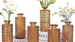 ComSaf Glass Bud Vases Set of 6, Small Diamond Bud Vases in Bulk, Mini Flowers Vases for Centerpieces, Vintage Bottle for Table Decorations, Wedding Decor, Recepetion, Home, (Amber)
