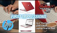 HP 15.6" Pentium 4GB/128GB Laptop (First Look)