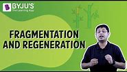 Fragmentation And Regeneration | Class 7 | Learn With BYJU'S