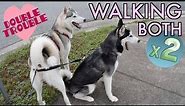 Walking TWO Dogs At Once! - (How To Walk Multiple Huskies)