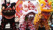 Chinese New Year Parade - Dragon & Lion dance Compilation