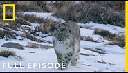 Mountains (Full Episode) | Hostile Planet