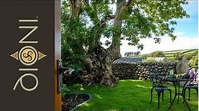 Self Catering Barn, Snowdonia, North Wales | Moelfre