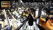 【HD/1080p】渋谷スカイ 完全ガイド 昼間～夜まで絶景の楽しみ方、癒される都会の天空 How to enjoy Shibuya Sky & Shibuya Scramble Crossing😊