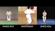 Karate - Do You Know Difference Between Karate Styles_