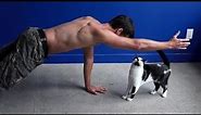 Trying to exercise with cats around