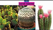 Cactus Varieties A to Z