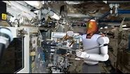 Space Station Live: Robonaut, the Humanoid Robot