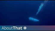 Titanic tourist submersible destroyed: How it happened | About That