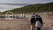 Dog friendly cottages