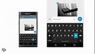 PRIV by BlackBerry Factory Unlocked Smartphone - Black (U.S. Warranty)