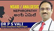 What is NSAID Nephropathy (Analgesic Nephropathy ) | Dr PS Vali | Health9