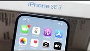 iPhone SE 3: Release Date & Price!
