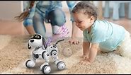 10 Best Robot Dogs 2022 | Best Robot Dog Toys For Kids