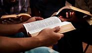 Best Bibles for Beginners: 7 Great Choices for New Believers