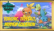 How to get Torchic, Treecko, and Mudkip in Pokémon Sword and Shield The Crown Tundra - Hoenn Starter