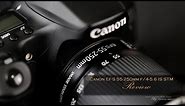 Canon EF-S 55-250mm f/4-5.6 IS STM Review - Budget Excellence