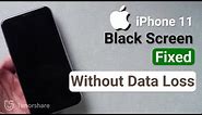 How to Fix iPhone 11 Black Screen without Data Loss 2023
