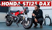 New 2023 Honda ST125 DAX Review: Retro Mini-Bike Fun!