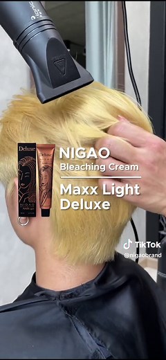 How to Achieve Silver Grey Hair Color | NIGAO Hair Dye Review