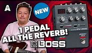 Boss RV200 - A Powerful Palette of Reverbs!