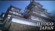 HYOGO JAPAN in 8K [Four Seasons] - 兵庫