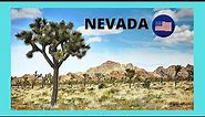 The stunning MOJAVE DESERT in Nevada, scenic views! (USA)