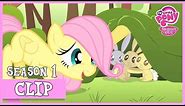 Fluttershy's Cutie Mark Story (The Cutie Mark Chronicles) | MLP: FiM [HD]