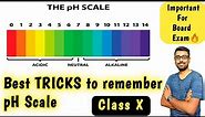 Tricks to remember Colour of pH Scale | Class 10 | Acids bases and salts