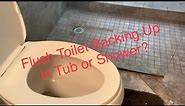 Flush Toilet Backing Up in Shower or Tub / Fix Fast & Easy