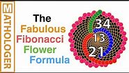 The fabulous Fibonacci flower formula