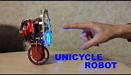 Unicycle balancing robot with reaction wheel (open source)