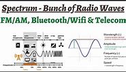 What is Spectrum & why it is allocated - Role of different frequency bands of Radio Waves around us