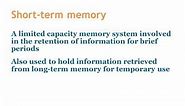 Memory 3 box model