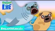 SHARK PUG Attacks REAL PUG!! | YOUR COMMENTS COME TO LIFE