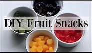 DIY Homemade Natural Fruit Snacks / Gummies - 4 Recipes ♡ NaturallyThriftyMom
