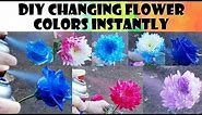 DIY Changing Flower Colors Instantly | Design Master Floral Spray Paint 🌺🌻🌹🌷🌼🌹