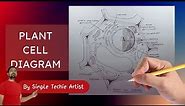 Plant Cell Diagram Easy Drawing | Drawing the Plant Cell: A Step-by-Step Guide