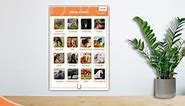 Horse Breeds - Display Poster