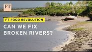 Fighting agricultural pollution in England’s waterways | FT Food Revolution