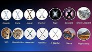History of Mac OS X
