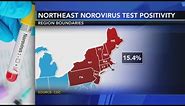 Contagious stomach bug circulating in the Northeast | Know the symptoms