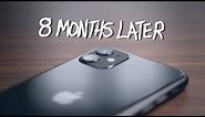 iPhone 11 8 MONTHS LATER (review)