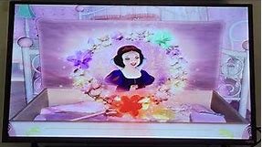 Disney Princess Stories Volume two Tales of Friendship DVD Flower wreath scenes.