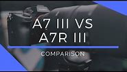 Sony A7R III vs A7 III Comparison