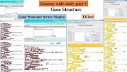 Genome wide study Part 9 | gene structure | exon intron