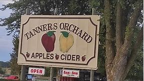 Tanners Orchard Apple Picking 2023 || Apple Picking Vlog || Apple Farm Visit ||