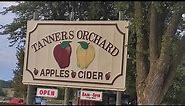 Tanners Orchard Apple Picking 2023 || Apple Picking Vlog || Apple Farm Visit ||