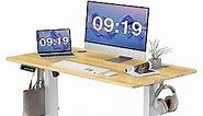 Standing Desk, 48 x 24 in Electric Height Adjustable Computer Desk for Home Office, Sit Stand up Work Gaming Table with Memory Controller/Headphone Hook, Rising Lift Workstation-Natural