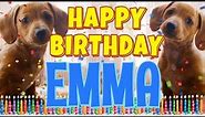 Happy Birthday Emma! ( Funny Talking Dogs ) What Is Free On My Birthday